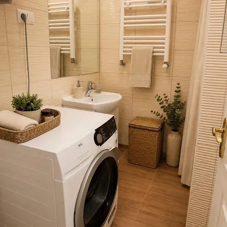 Apartment квітка полонини-арендабудинку *