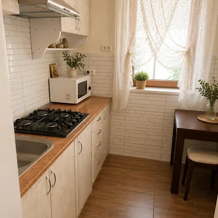 Apartment квітка полонини-арендабудинку Solochin